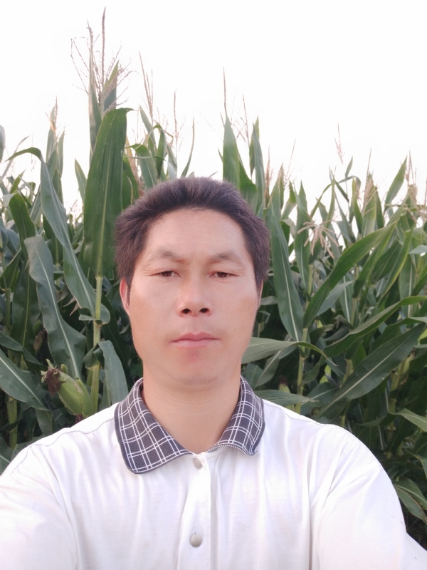 四海游龙的第一张照片--莆田相亲网