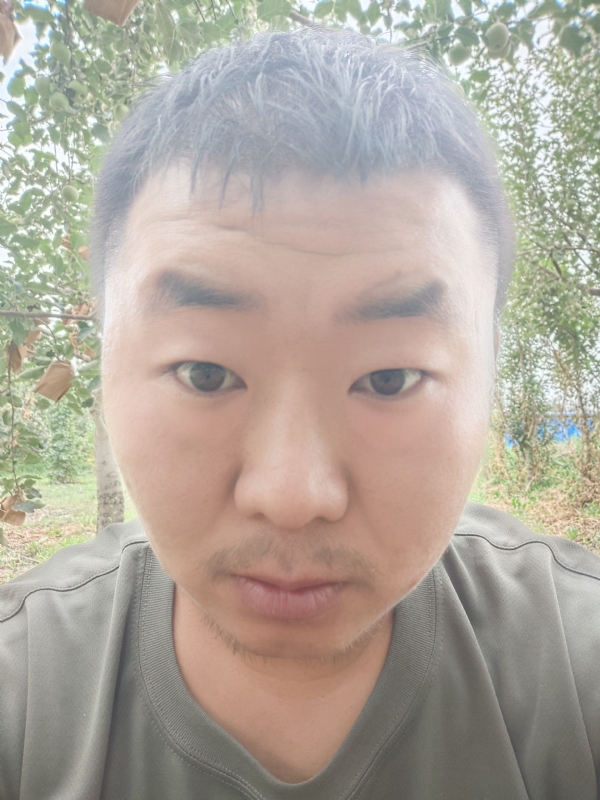 明天的第一张照片--莆田相亲网