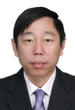 绿油油的榕树的第一张照片--莆田相亲网