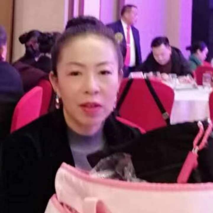 中秋桂花玉兔的第四张照片--莆田相亲网
