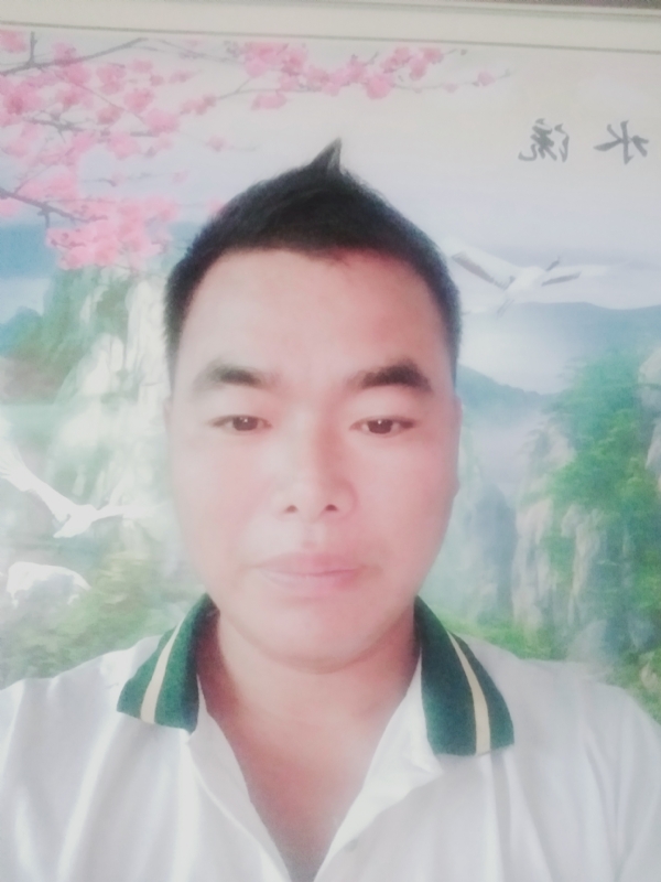 阳光男孩的第二张照片--莆田相亲网