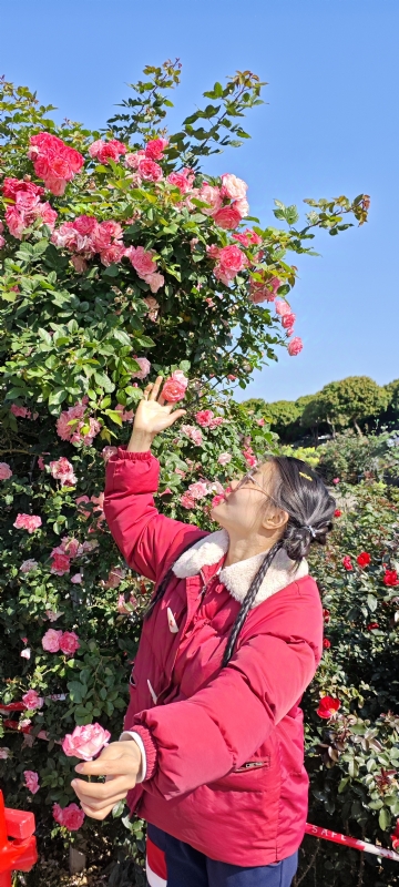 狗狗的第一张照片--莆田相亲网